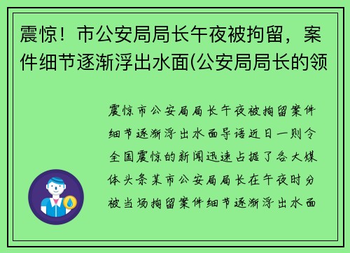 震惊！市公安局局长午夜被拘留，案件细节逐渐浮出水面(公安局局长的领导)