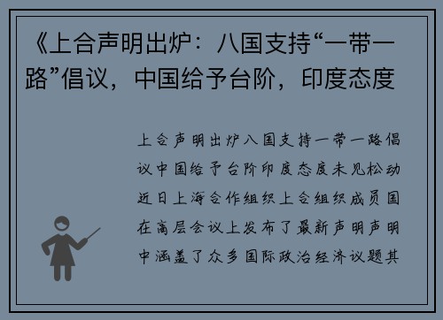 《上合声明出炉：八国支持“一带一路”倡议，中国给予台阶，印度态度未见松动》