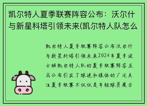 凯尔特人夏季联赛阵容公布：沃尔什与新星科塔引领未来(凯尔特人队怎么样)