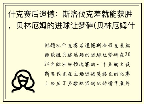 什克赛后遗憾：斯洛伐克差就能获胜，贝林厄姆的进球让梦碎(贝林厄姆什么位置)